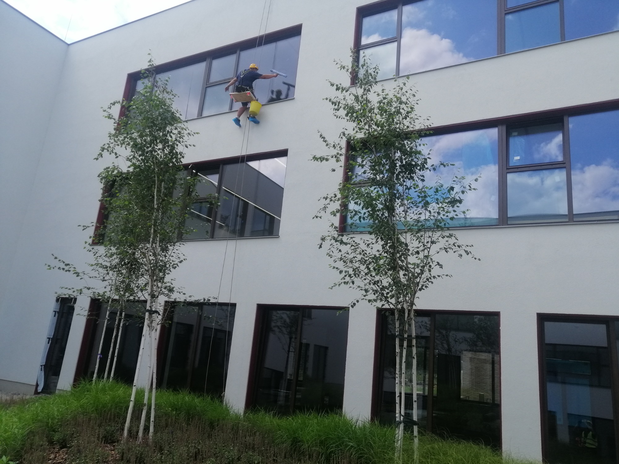 Pracownik w uprzęży, myjący okna na wysokościach nowoczesnego biurowca z białymi elewacjami, widoczne drzewa w otoczeniu budynku.
