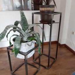 Usługi spawalnicze Custom-Metal Karol Lewicki - Dwie metalowe, minimalistyczne podstawki pod kwiaty w salonie, na jednej roślina doniczkowa o długich liściach, na drugiej brązowa roślina w ciemnej doniczce, w tle obraz.