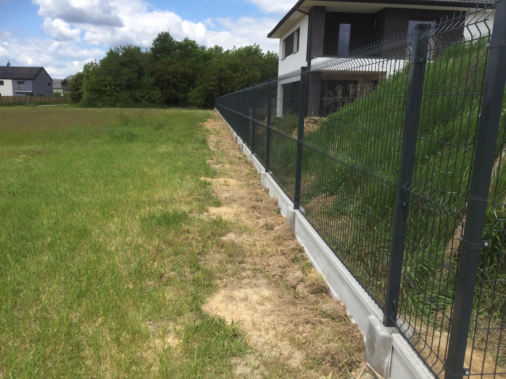 Nowoczesne ogrodzenie panelowe z podmurówką betonową, oddzielające trawnik od terenu zarośniętego wysoką trawą, na tle domu jednorodzinnego.