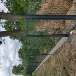 Zamknięta furtka w ogrodzeniu panelowym z betnowym podmurówką, widok na zarośla i drzewa w tle.