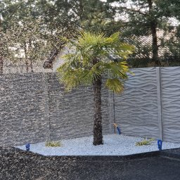 Firma Usługowa - Automatyczne nawadnianie palmowej rośliny w ogrodzie z białymi kamieniami i betonowym ogrodzeniem o falistym wzorze, zraszacz w akcji.