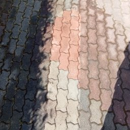 Asmat Mateusz Kalinowski - Wielobarwna kostka brukowa ułożona we wzór, częściowo zacieniona, z widocznymi śladami wilgoci i drobnymi chwastami w spoinach.