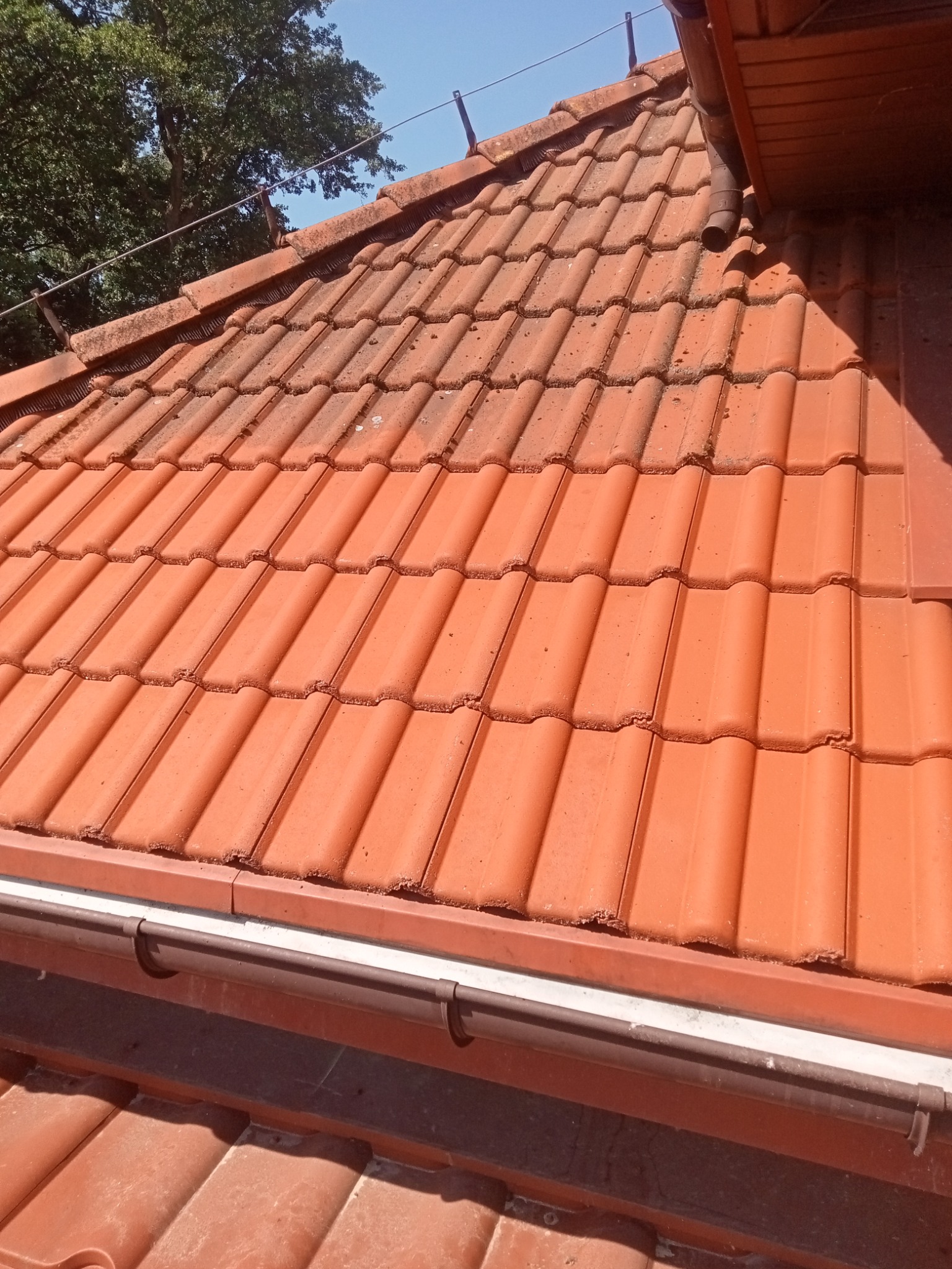 Częściowo wyczyszczony dach z czerwonej dachówki karpiówki, widoczna różnica między czystą a zabrudzoną powierzchnią, rynna wzdłuż krawędzi dachu.