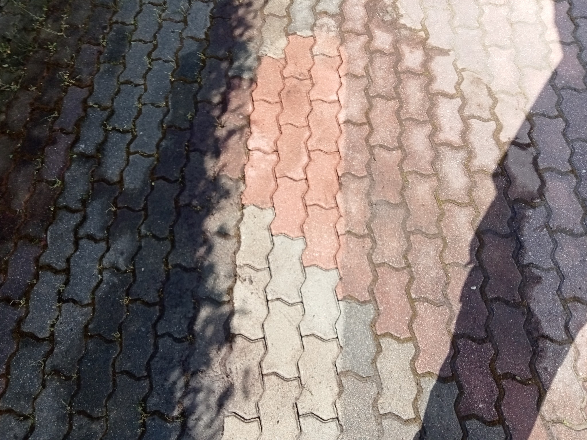 Wielobarwna kostka brukowa ułożona we wzór, częściowo zacieniona, z widocznymi śladami wilgoci i drobnymi chwastami w spoinach.