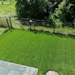 Widok z góry na równo przystrzyżony trawnik z ciemnozieloną trawą, obramowany szarą kostką brukową i siatką ogrodzeniową z drewnianymi elementami oraz gęstą zielenią w tle.