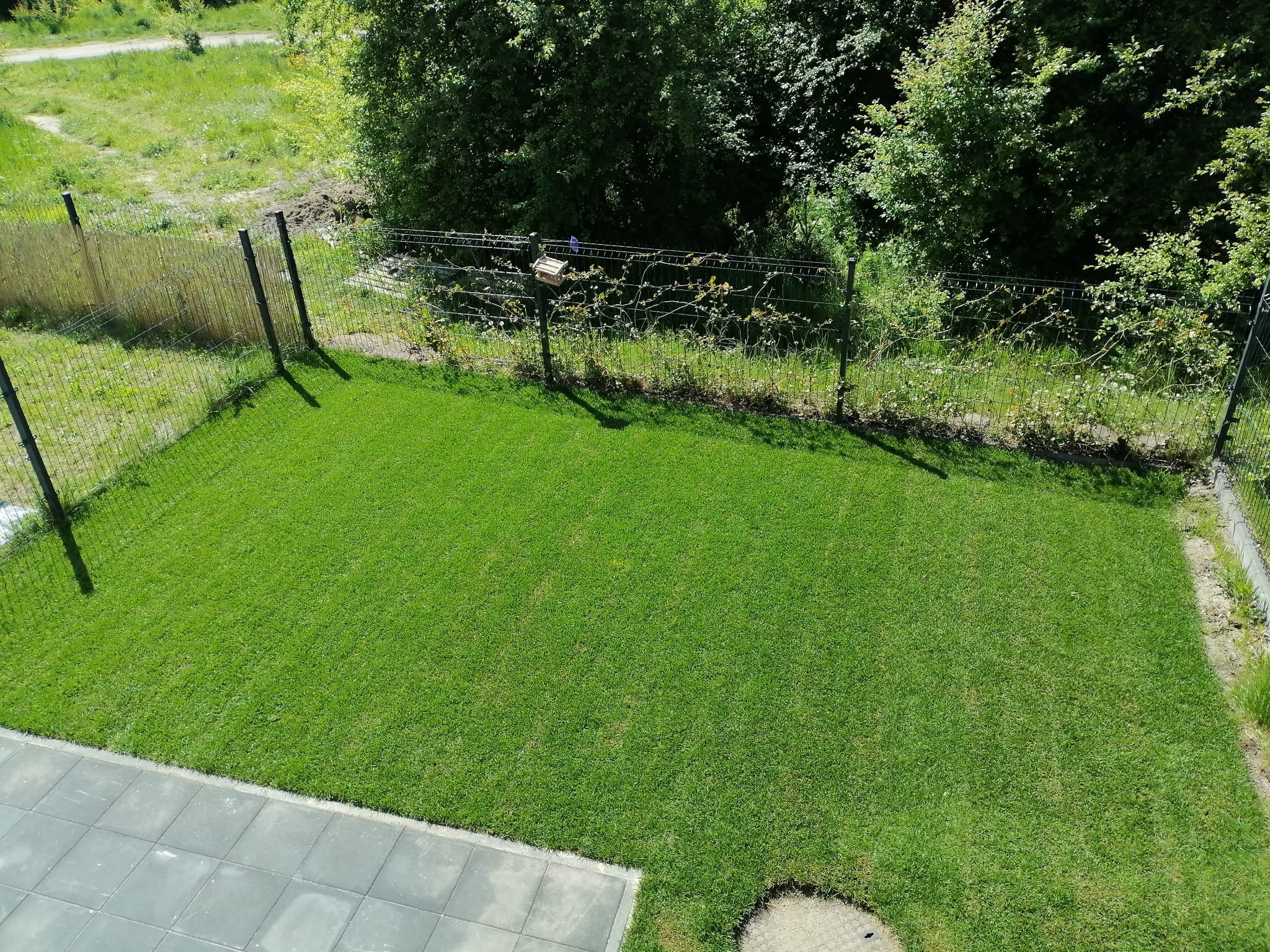 Widok z góry na równo przystrzyżony trawnik z ciemnozieloną trawą, obramowany szarą kostką brukową i siatką ogrodzeniową z drewnianymi elementami oraz gęstą zielenią w tle.