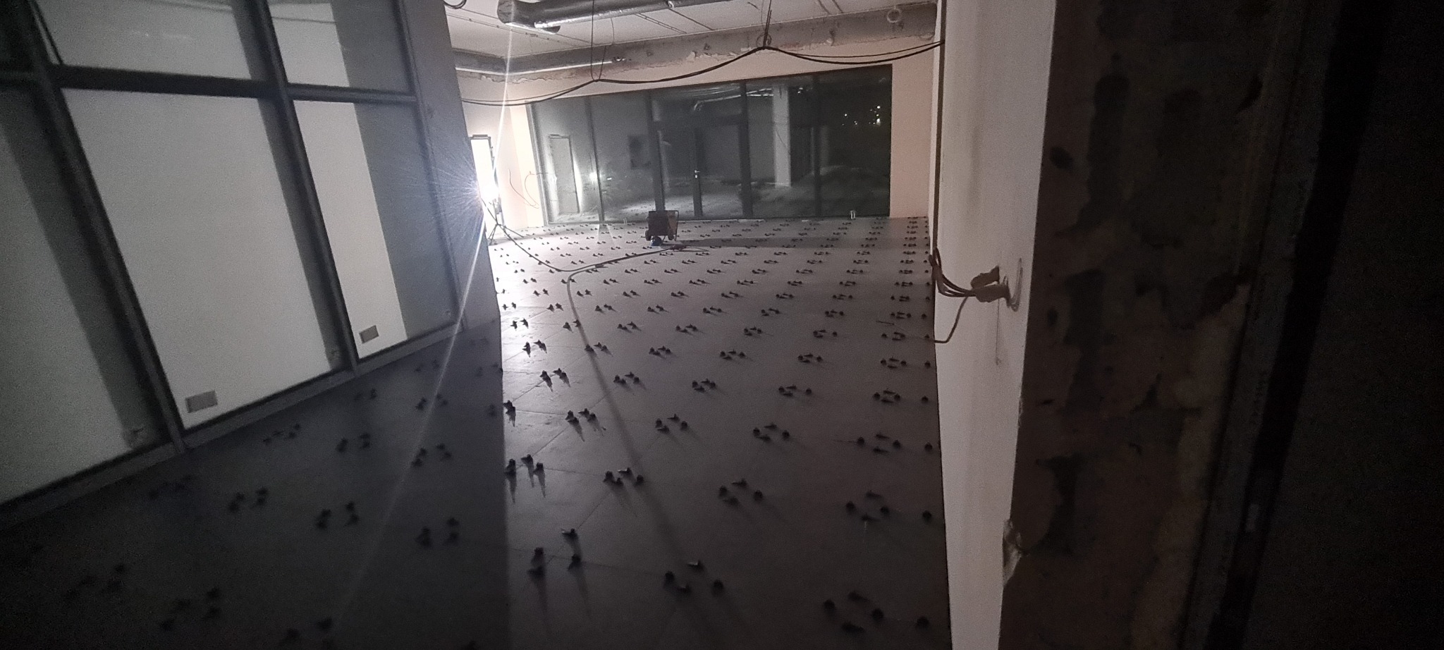 Przygotowanie podłoża pod podłogę podniesioną w biurze, widoczne regulowane wsporniki rozmieszczone równomiernie na powierzchni, okna w tle, surowy stan wnętrza.