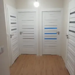 Realizacja Intenso Doors