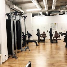 Brak - Wnętrze przestronnej siłowni z różnorodnym sprzętem do ćwiczeń, w tle białe ściany z dekoracjami roślinnymi i tablicą informacyjną.