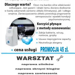 Ozonowanie samochodu jest jedną z najskuteczniejszych metod dezynfekcji. W ten sposób można pozbyć się zarówno niechcianych zapachów, jak i pyłów czy alergenów, które często są niewidoczne gołym okiem.
Ozonowanie zabija: grzyby, zarodniki, pleśnie, roztocz