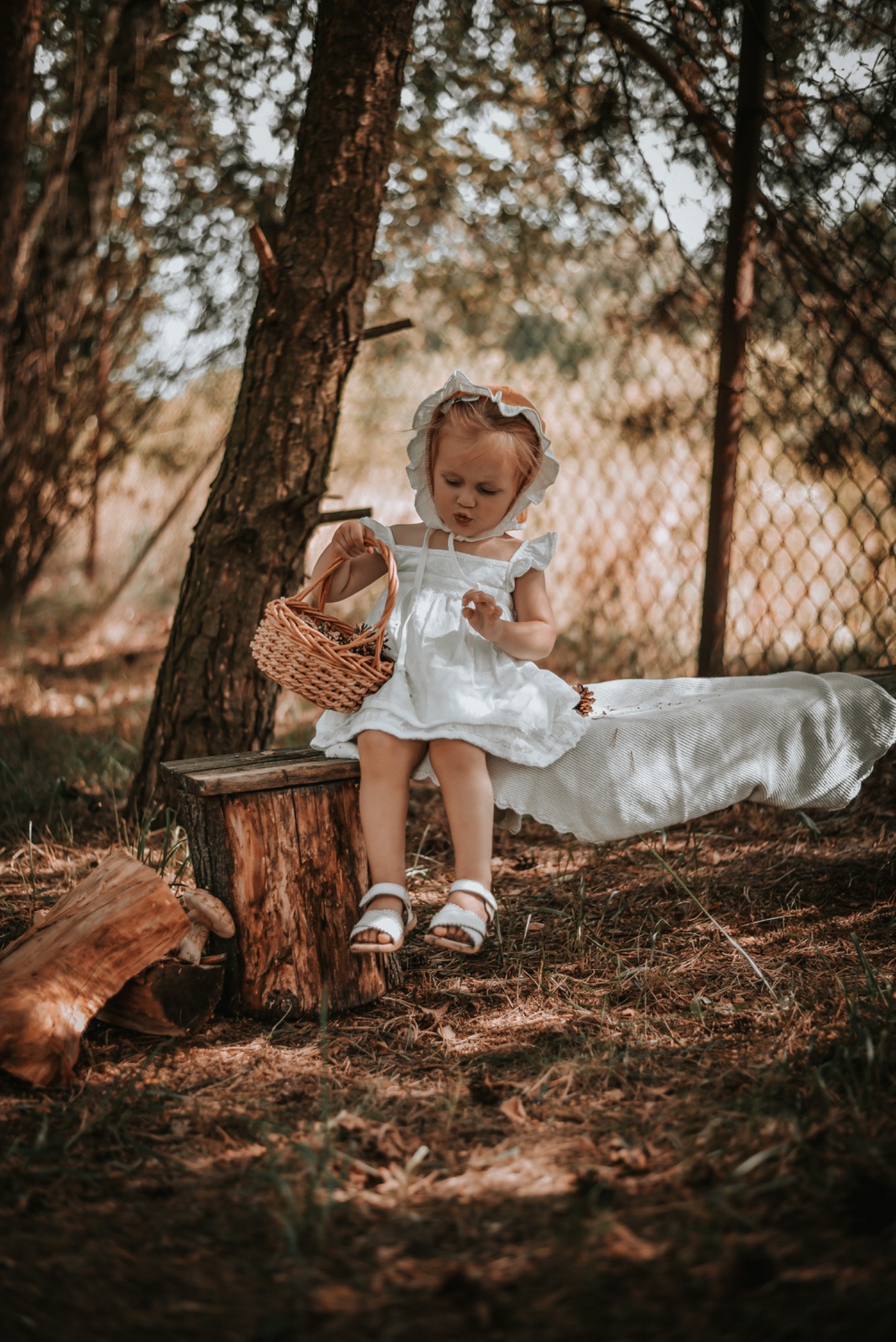 Mała dziewczynka w białej sukience i czepku siedzi na drewnianym pieńku w lesie, trzymając wiklinowy koszyk z zawartością i dotykając go palcem.