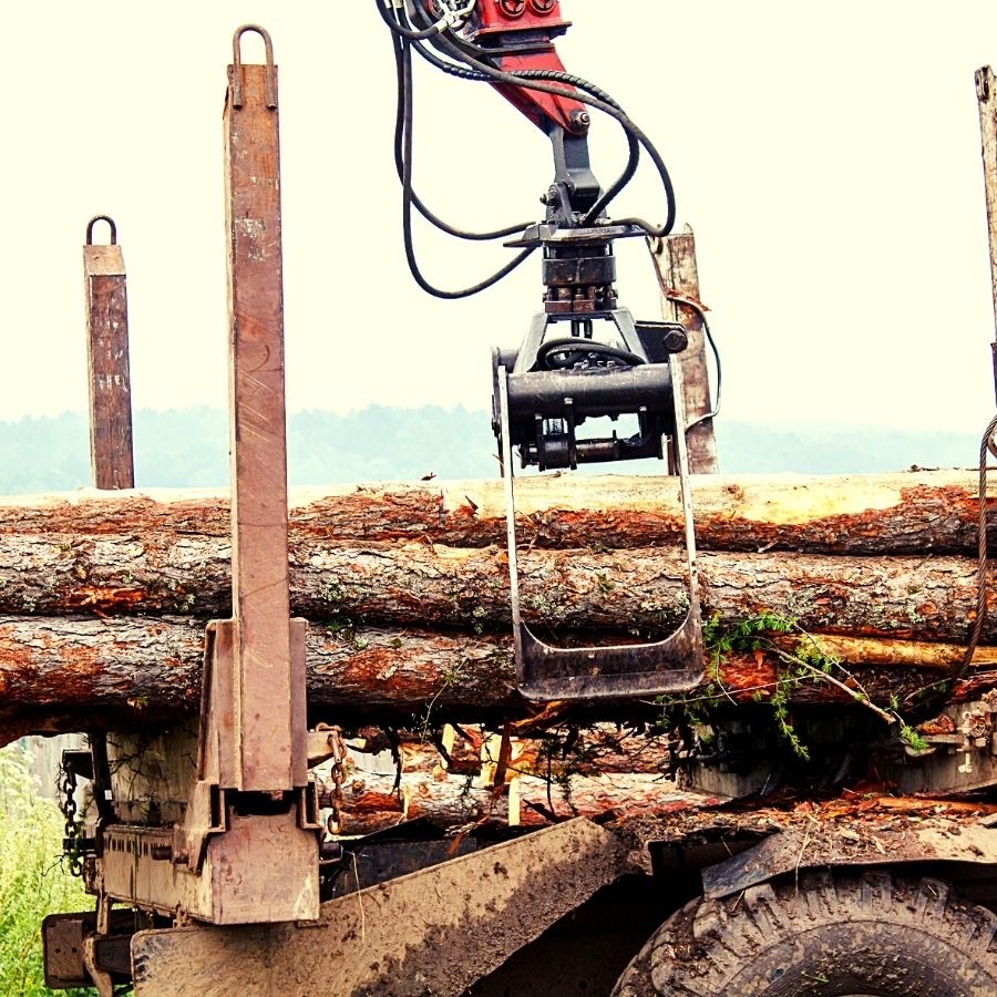 Transport kłód do tartaku