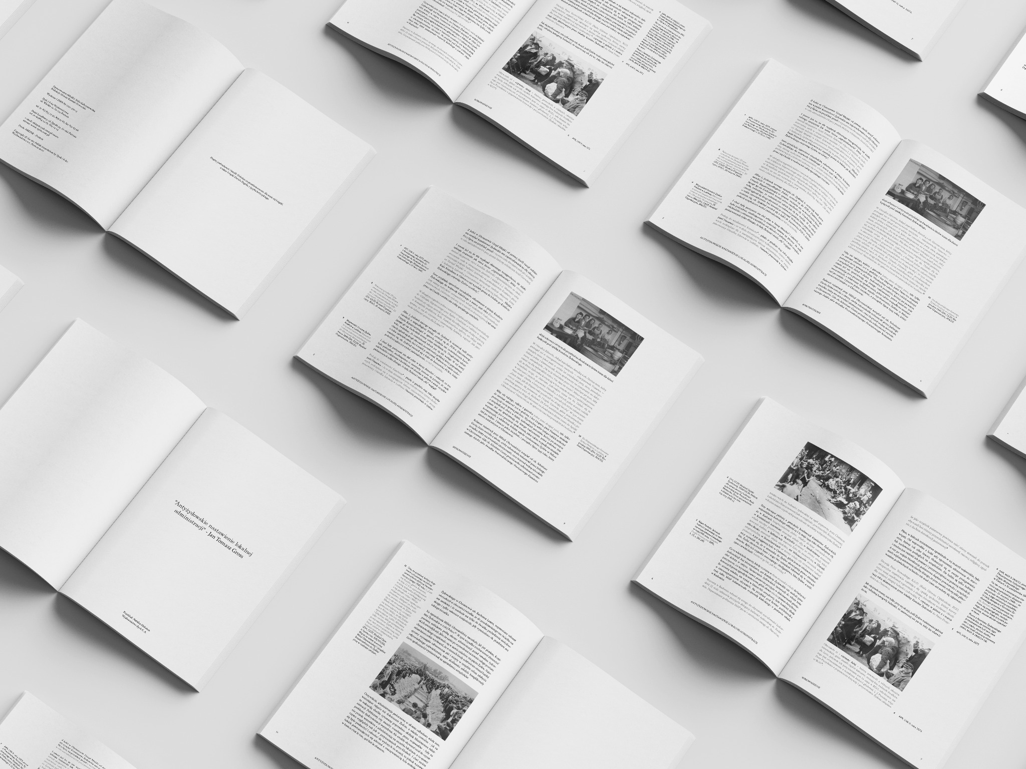 Układ stron książki z czarno-białymi fotografiami i tekstem, rozłożone na białym tle, prezentujące koncept składu publikacji autorstwa Grossa i Camerona.