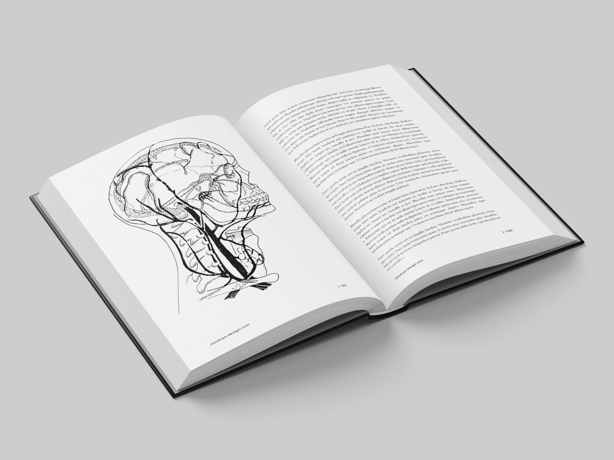 Ilustracja medyczna przedstawiająca przekrój głowy i szyi z zaznaczonym układem krwionośnym, umieszczona w otwartej książce z tekstem obok.