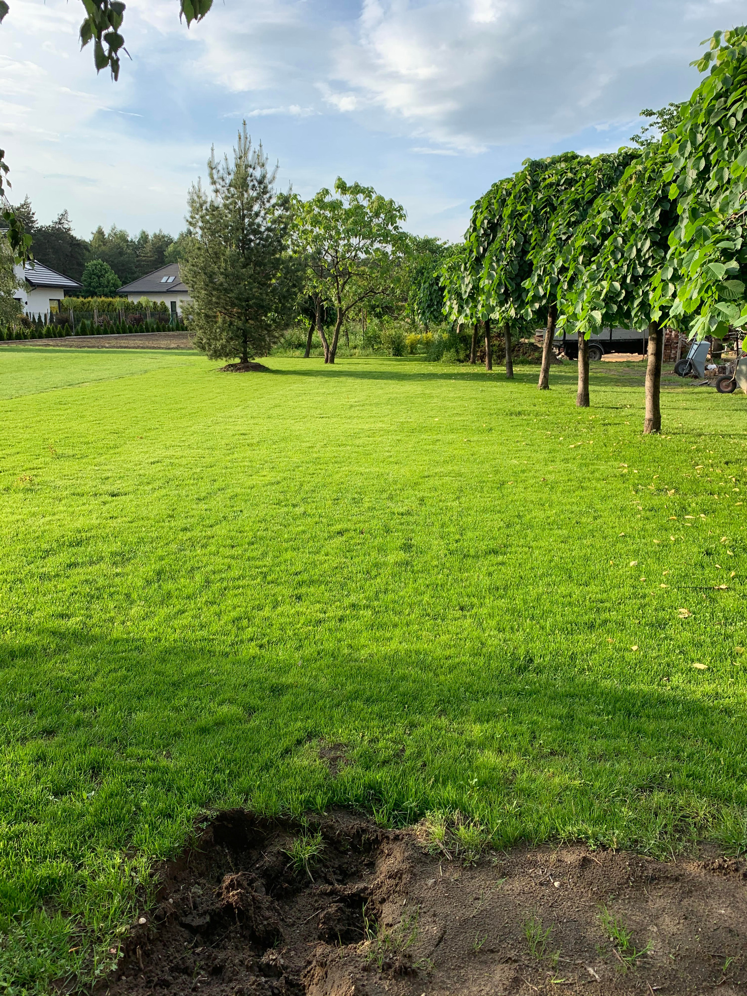 Tak przedstawia się efekt końcowy w postaci właściwego trawnika