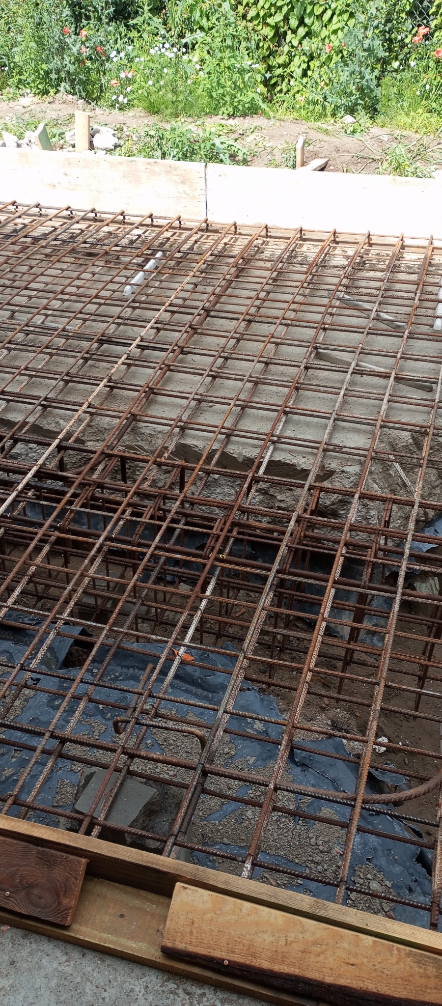 Zbrojenie fundamentów domu jednorodzinnego z widoczną siatką stalową, folią izolacyjną i elementami szalunku drewnianego. Ujęcie z góry, w tle zieleń.