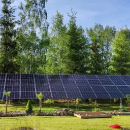 Rozległa instalacja paneli słonecznych na niskim stelażu, umieszczona na trawniku z młodymi drzewkami, otoczona zielenią drzew i krzewów, z pracownikiem w tle.