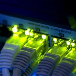 Podłączone kable sieciowe Ethernet do przełącznika z aktywnymi, świecącymi na zielono diodami LED.