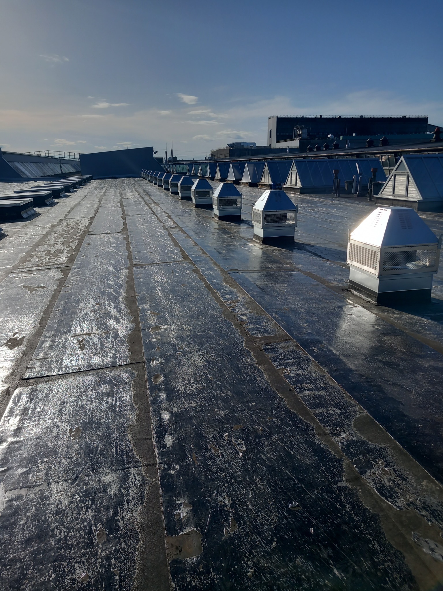 Rząd metalowych wywietrzników na pokrytym papą dachu budynku przemysłowego w słoneczny dzień.