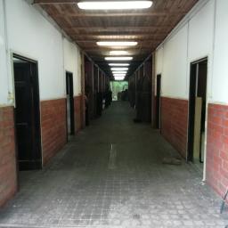 Malowanie Milanówek 2