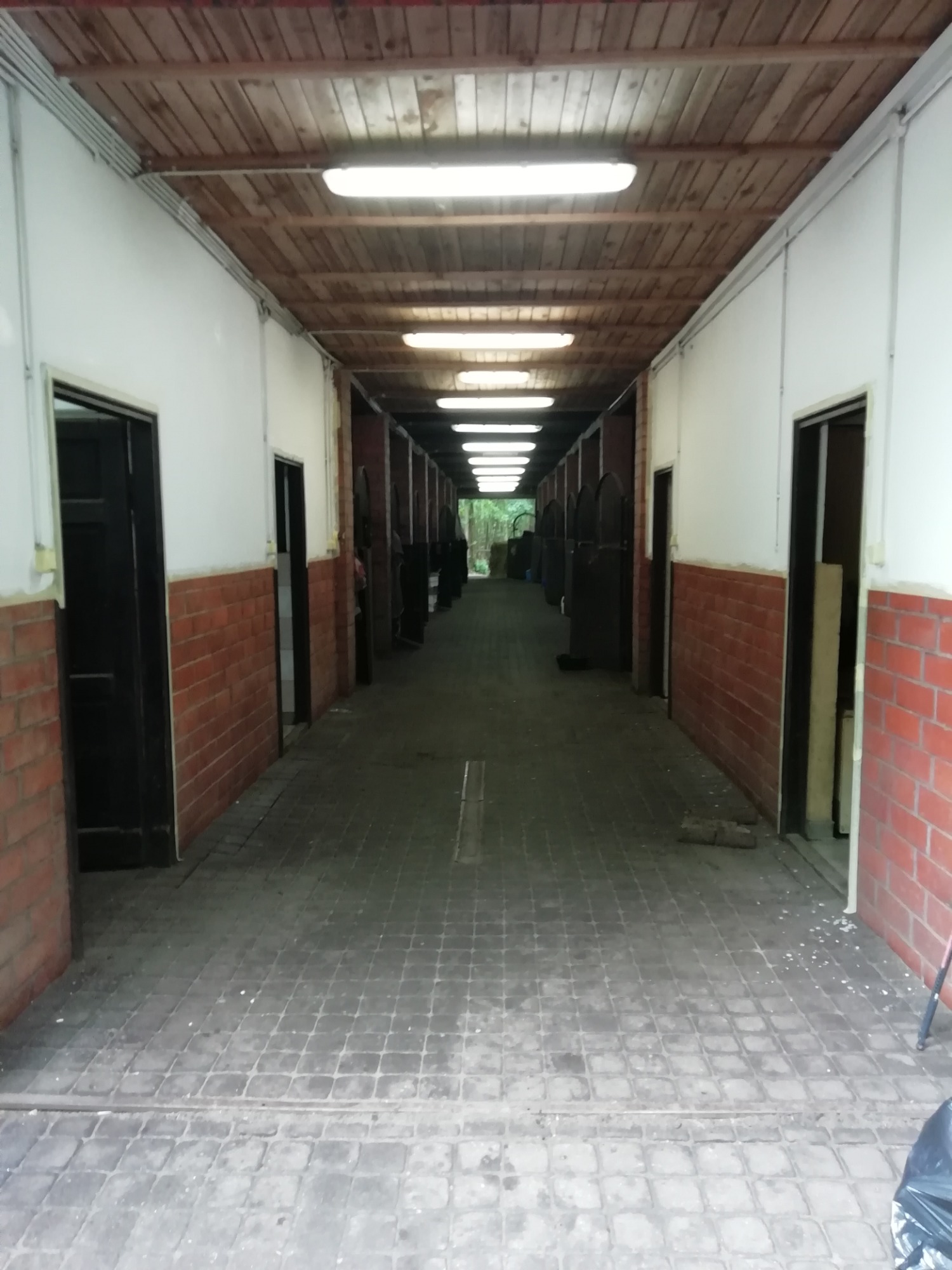 Długi korytarz stajni z rzędem boksów po obu stronach, oświetlony lampami sufitowymi, z drewnianym sufitem i ceglanymi elementami ścian.