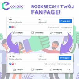 Usługa promocji fanpage dla studia fotograficznego, koszt za usługę 1100zł zwrot na poziomie 8500zł