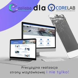 Realizacji strony www + zestawu grafik + kampania reklamowa Facebook / Google 

www.core-lab.pl