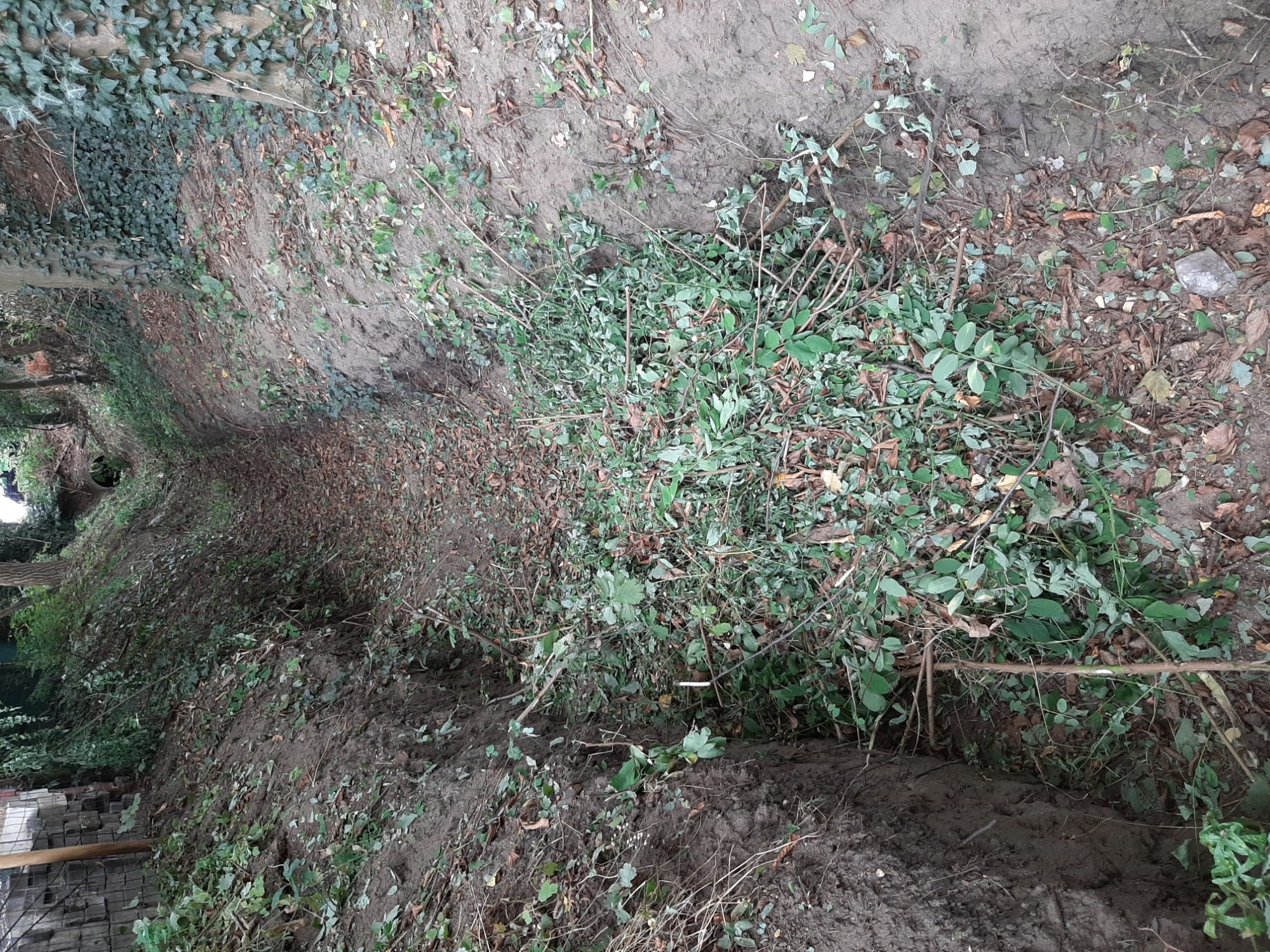 Czyszczenie i udrażnianie rowów, stawów, rzek