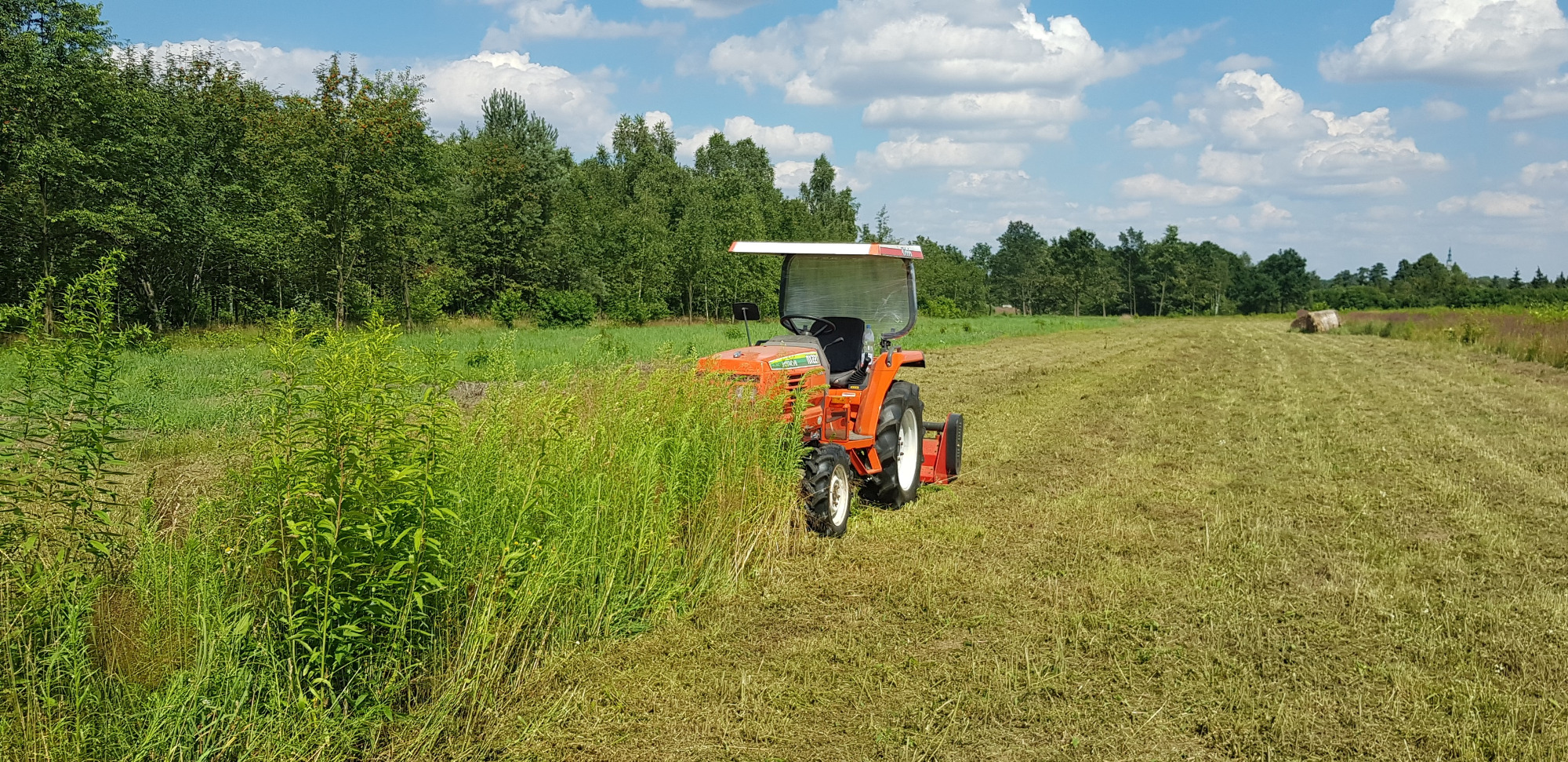 Pomarańczowy traktor z kosiarką rotacyjną tnie trawę na polu, widoczne drzewa w tle, błękitne niebo z chmurami.