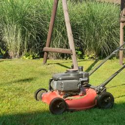 Wycinka drzew Smolec 2