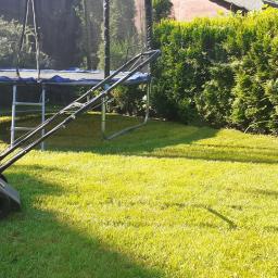 Wycinka drzew Smolec 1