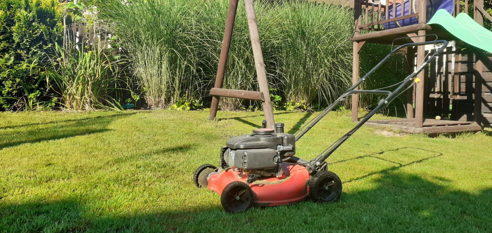Czerwona kosiarka spalinowa na trawniku przed drewnianym placem zabaw dla dzieci i ozdobnymi trawami w ogrodzie.
