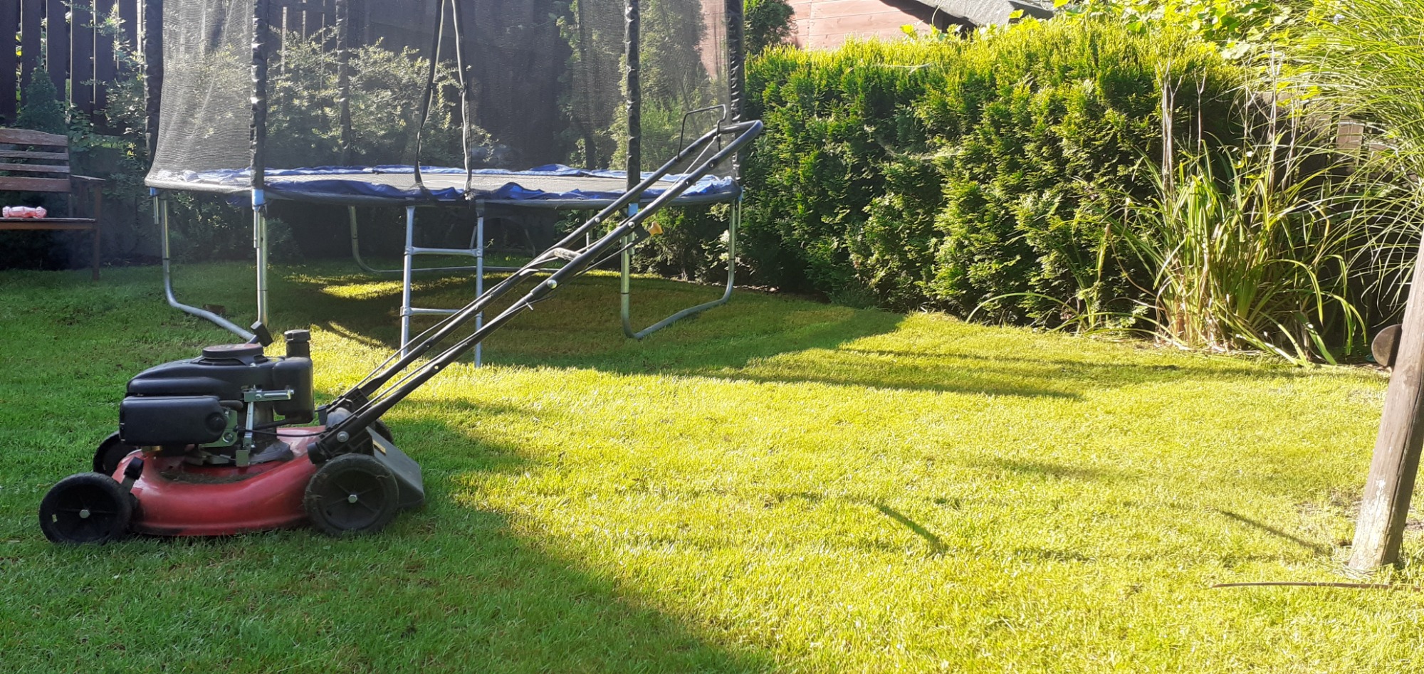 Czerwona kosiarka spalinowa stoi na trawniku w ogrodzie, w tle trampolina, żywopłot i drzewa.
