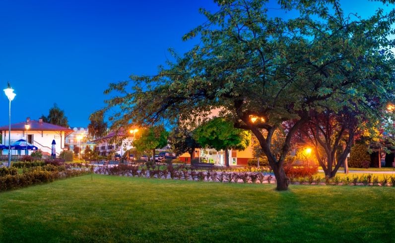 Wieczorny widok na park w Kołobrzegu z budynkami w tle, oświetlony latarniami i z dużym drzewem na pierwszym planie.