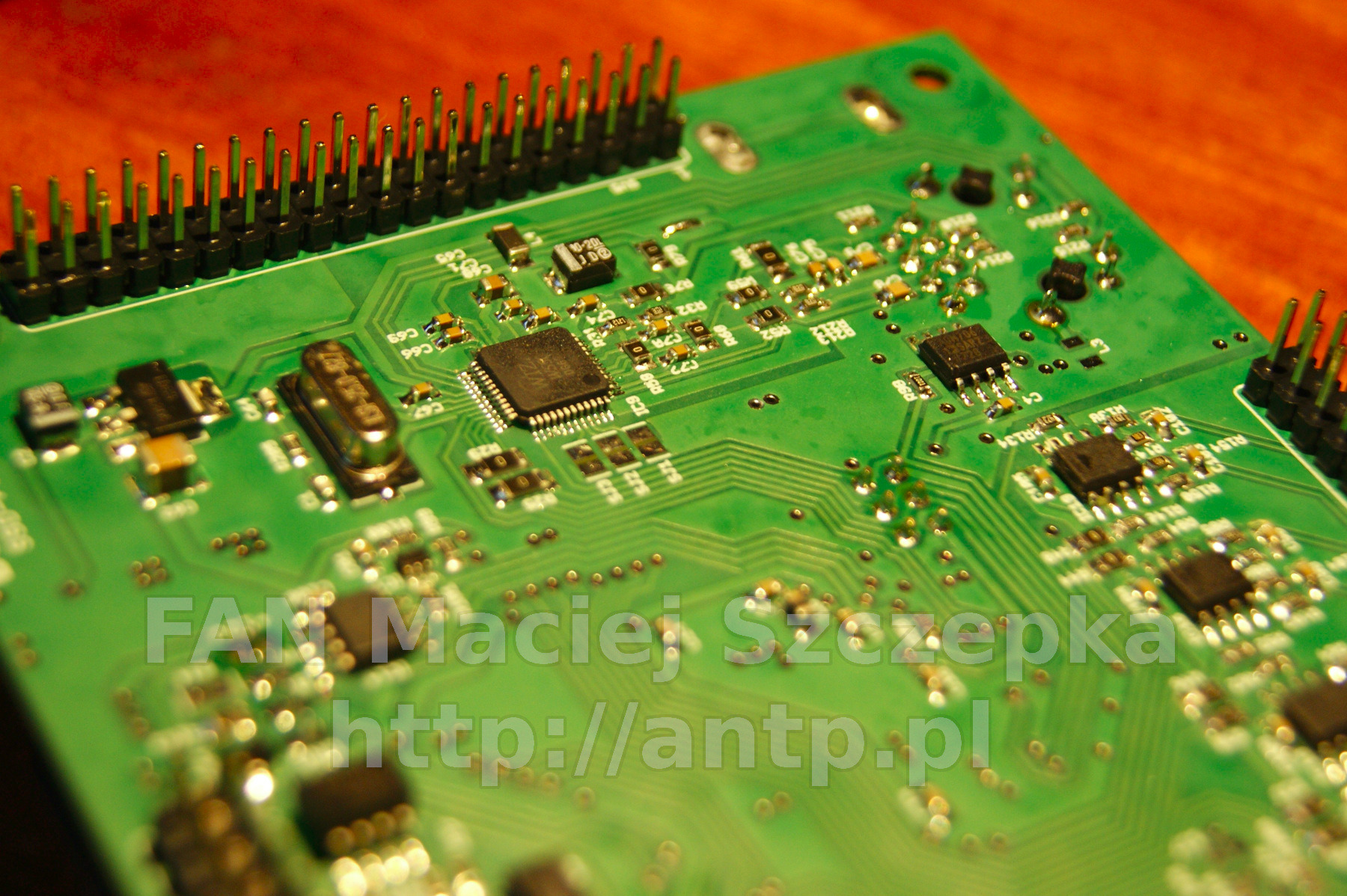 Zielona płytka drukowana z elementami elektronicznymi, widoczne układy scalone, kondensatory i złącza pinowe, oświetlona ciepłym światłem, z naniesionym adresem strony internetowej na powierzchni.
