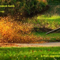 Dmuchanie i odkurzanie liści