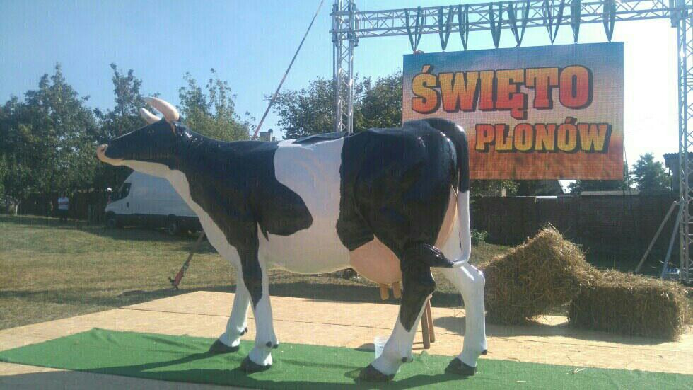 Sztuczna Krowa - symulator krowy