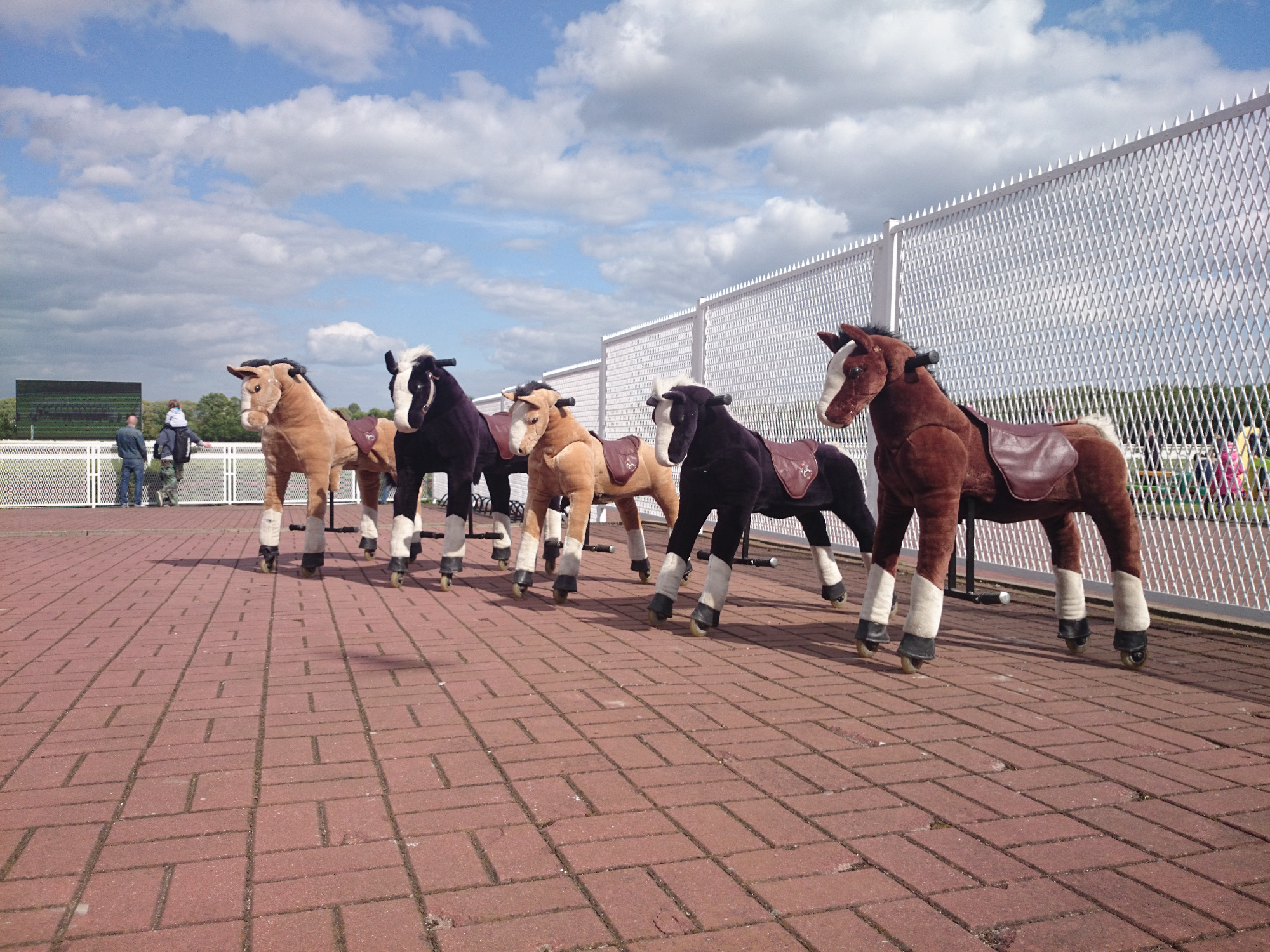 Jeżdżące koniki Ponycycle