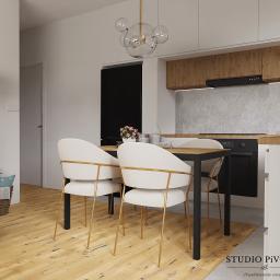 STUDIO PiVONIA - Projekty domów Warszawa
