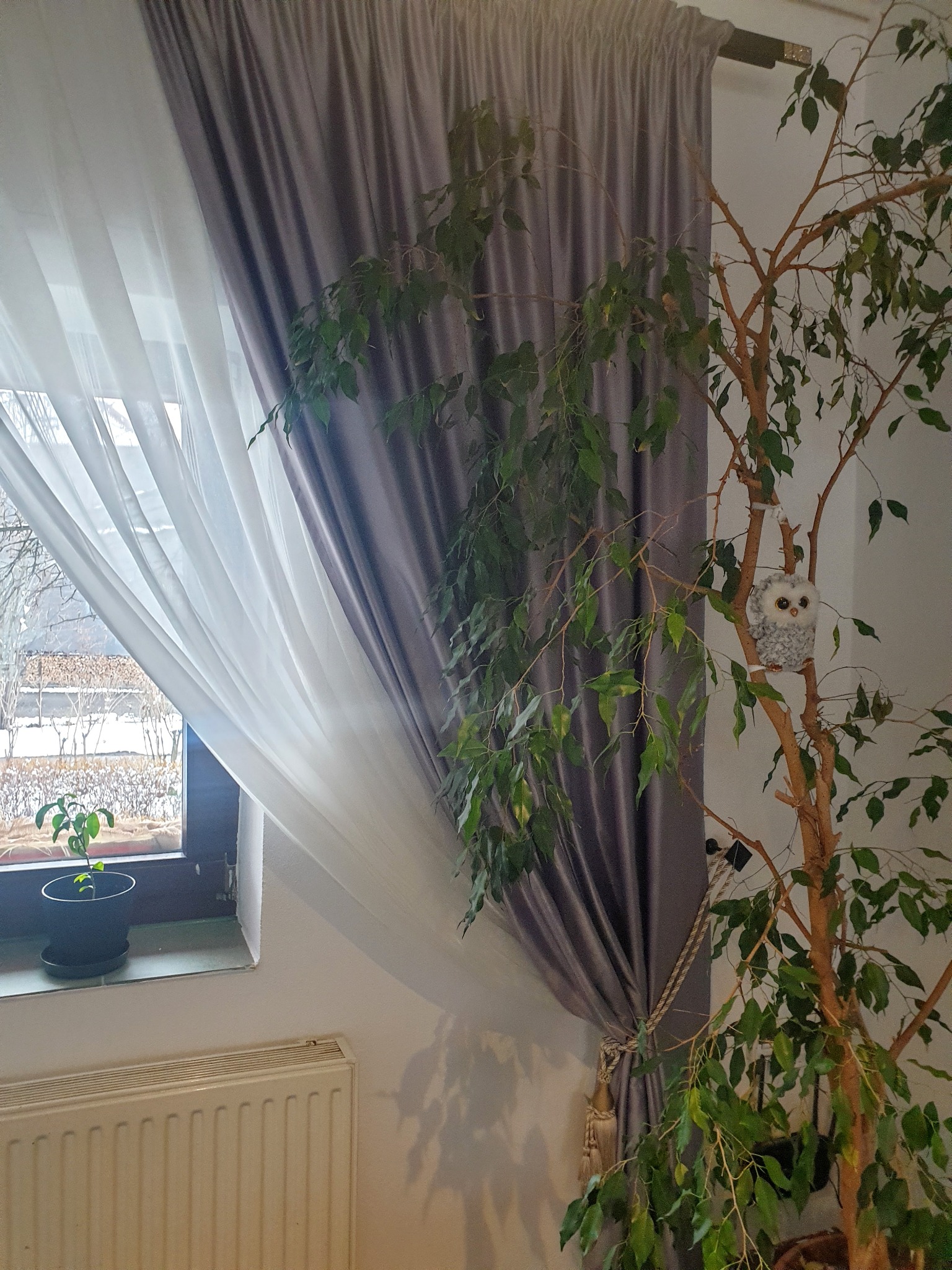 Dwuwarstwowe okno: biała, prześwitująca firanka i szara zasłona spięta sznurem z frędzlami, obok doniczka z małą roślinką na parapecie i drzewko z pluszową sową.
