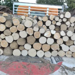 Kłody drewna ułożone w stos na pace ciężar&oacute;wki z pomarańczową kabiną. Widoczne słoje drewna i resztki kory. W tle zieleń drzew.