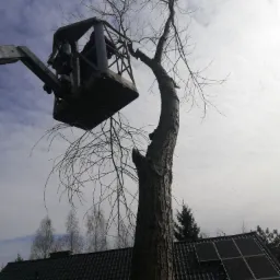 Usługi na wysokości, podnośnikiem koszowym