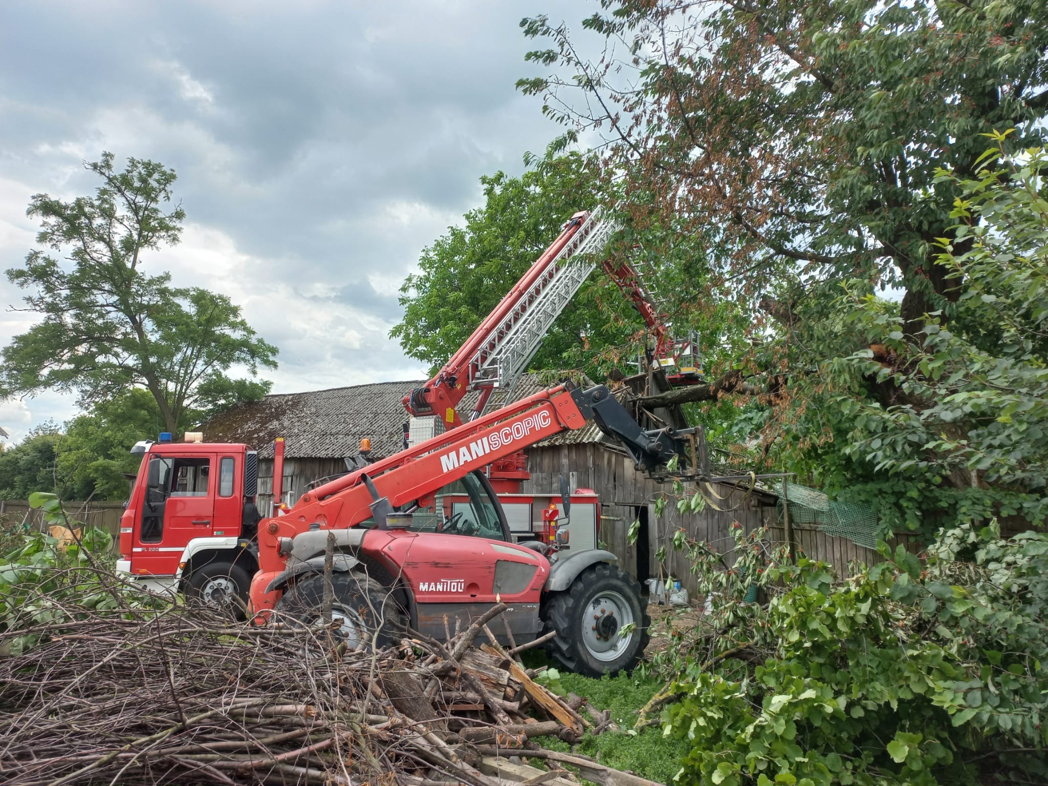 Cięcie drzew z użyciem podnośnika koszowego Manitou i wozu strażackiego. Na pierwszym planie gałęzie i pnie po wycince. Pochmurne niebo w tle.