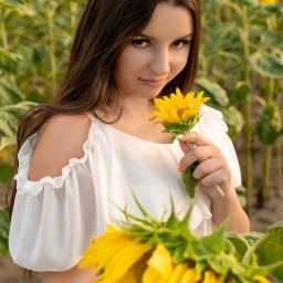 Sesja plenerowa w słonecznikach