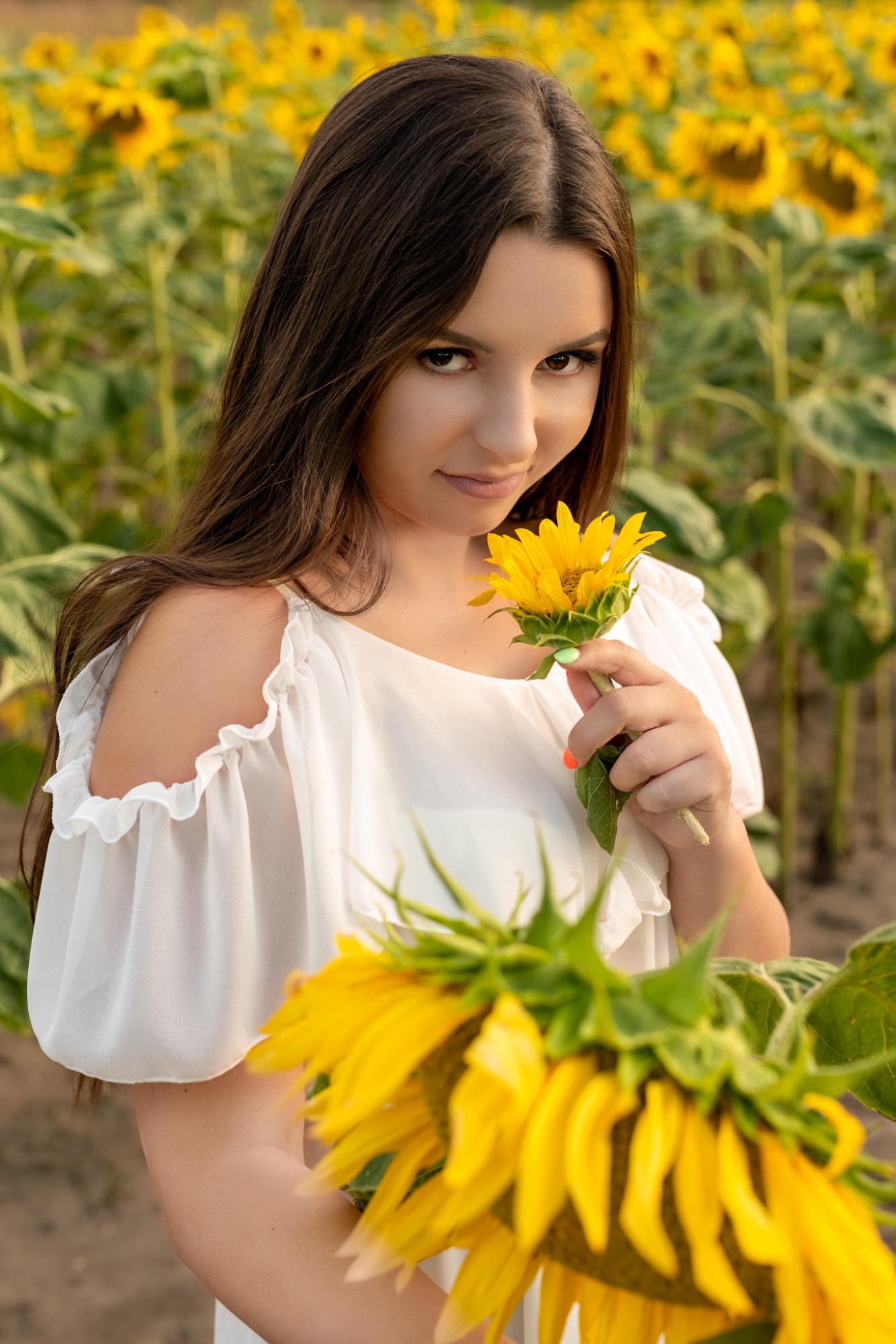 Sesja plenerowa w słonecznikach