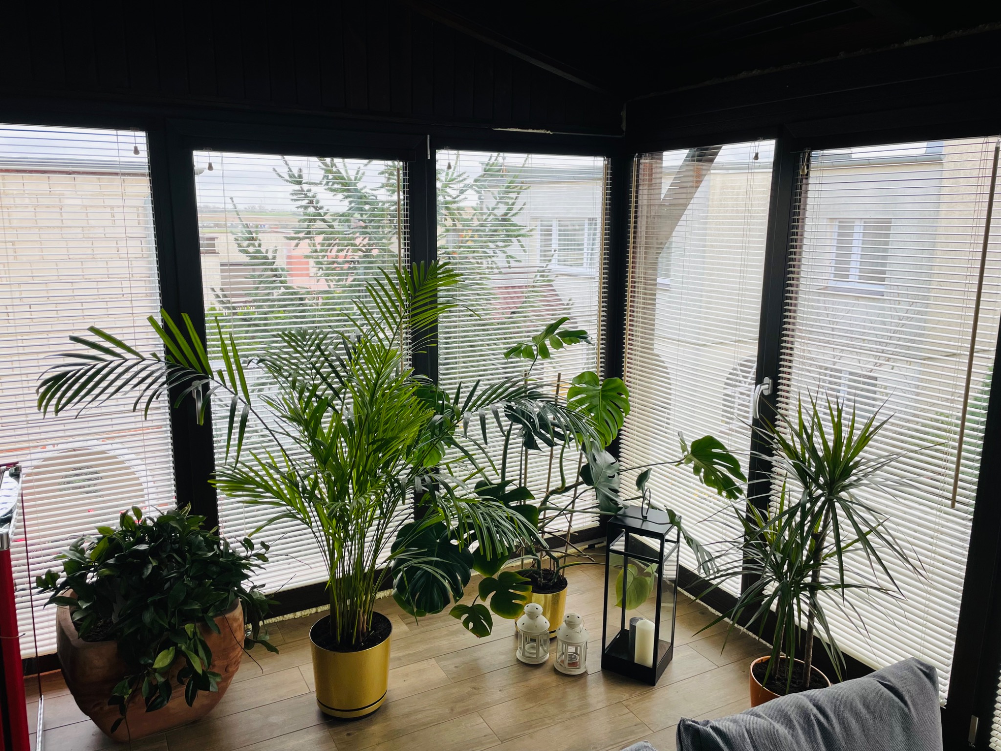 Jasne wnętrze z dużymi oknami osłoniętymi poziomymi listwami, widoczne rośliny doniczkowe i fragment szarej sofy.