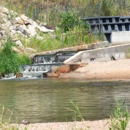 Sesja ciążowa Żagań 4