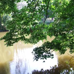 Sesja ciążowa Żagań 2