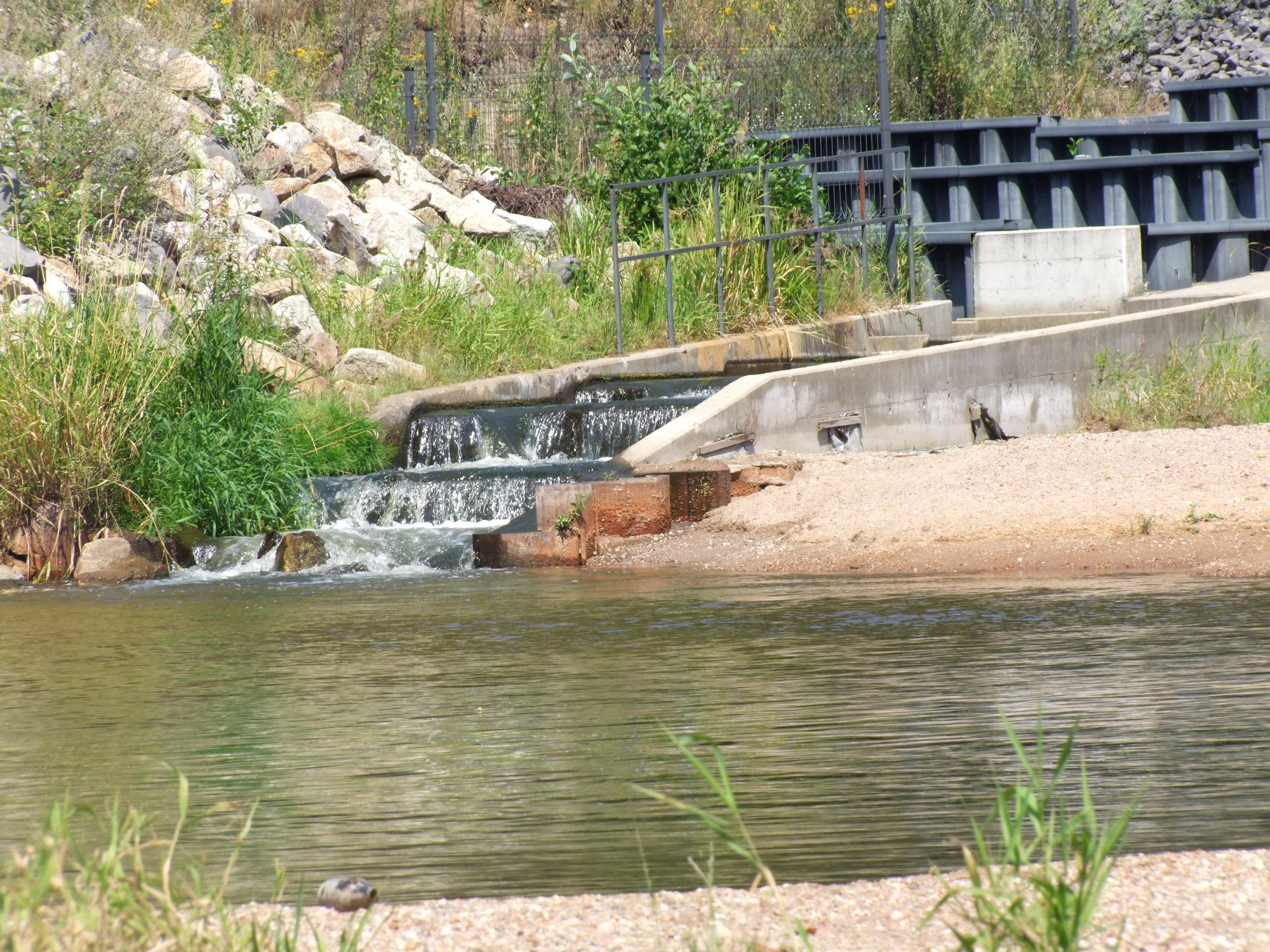 Betonowa konstrukcja z kaskadami wodnymi w otoczeniu zieleni i kamieni, widok na rzekę z piaszczystym brzegiem.
