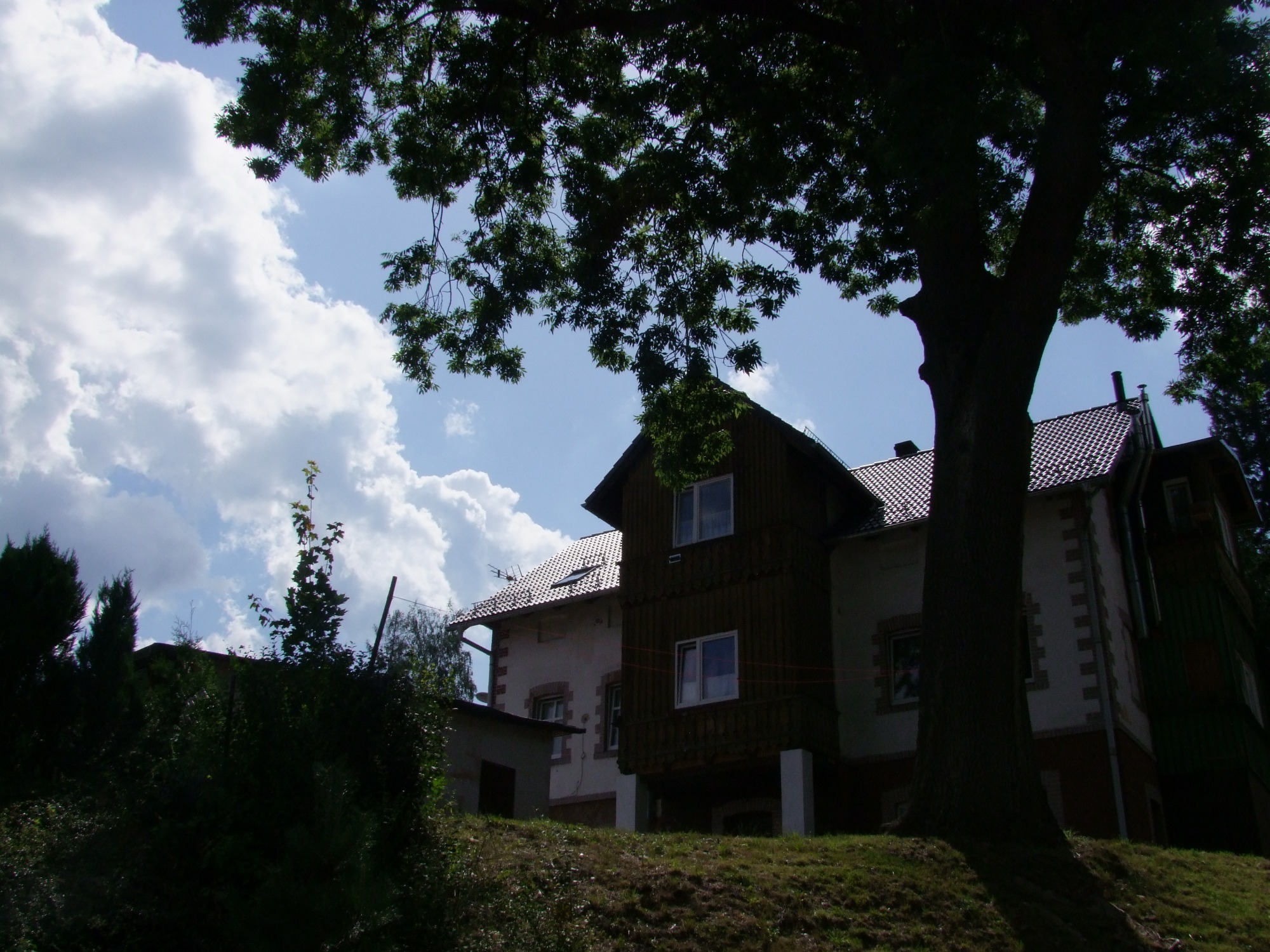 Dwupiętrowy dom z ciemnego drewna z balkonem i białym budynkiem obok, częściowo zasłonięty przez drzewo i zieleń na pierwszym planie, pod błękitnym niebem z obłokami.